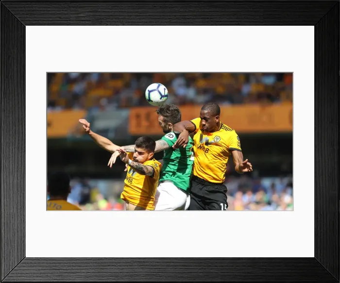 Framed Print : Premier League Showdown: Wolverhampton Wanderers vs. Brighton and Hove Albion at Molineux Stadium (20APR19) Framed Print : Premier League Showdown: Wolverhampton Wanderers vs. Brighton and Hove Albion at Molineux Stadium (20APR19)