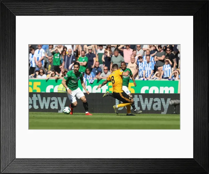 Framed Print : Premier League Showdown: Wolverhampton Wanderers vs. Brighton and Hove Albion at Molineux Stadium (20APR19) Framed Print : Premier League Showdown: Wolverhampton Wanderers vs. Brighton and Hove Albion at Molineux Stadium (20APR19)