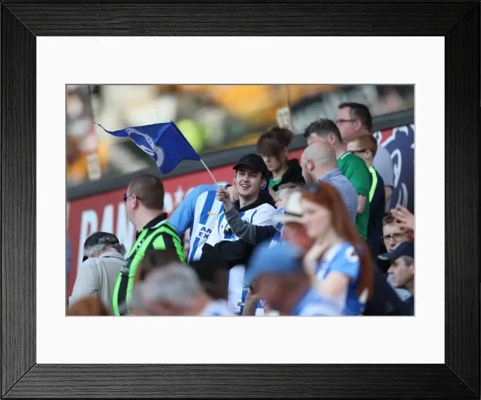 Framed Print : Premier League Showdown: Wolverhampton Wanderers vs. Brighton and Hove Albion at Molineux Stadium (20APR19) Framed Print : Premier League Showdown: Wolverhampton Wanderers vs. Brighton and Hove Albion at Molineux Stadium (20APR19)