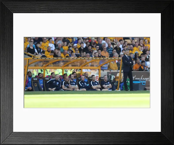 Framed Print : Premier League Showdown: Wolverhampton Wanderers vs. Brighton and Hove Albion at Molineux Stadium (20APR19) Framed Print : Premier League Showdown: Wolverhampton Wanderers vs. Brighton and Hove Albion at Molineux Stadium (20APR19)