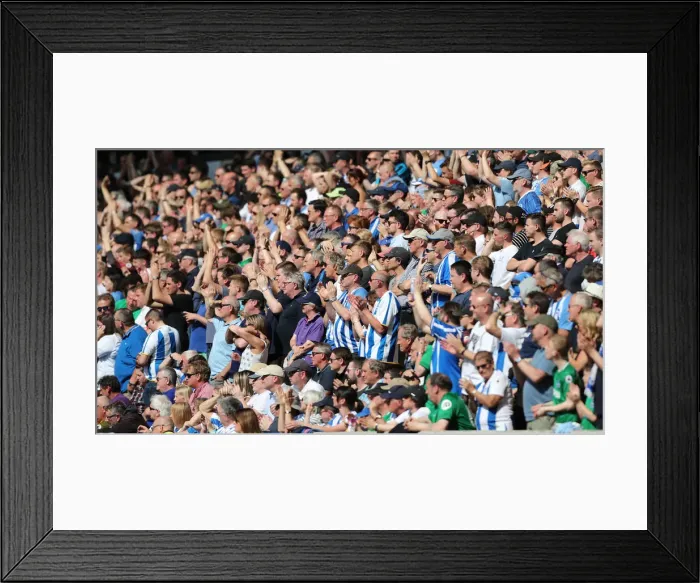 Framed Print : Premier League Showdown: Wolverhampton Wanderers vs. Brighton and Hove Albion at Molineux Stadium (20APR19)