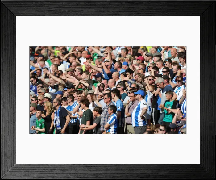 Framed Print : Premier League Showdown: Wolverhampton Wanderers vs. Brighton and Hove Albion at Molineux Stadium (20APR19) Framed Print : Premier League Showdown: Wolverhampton Wanderers vs. Brighton and Hove Albion at Molineux Stadium (20APR19)