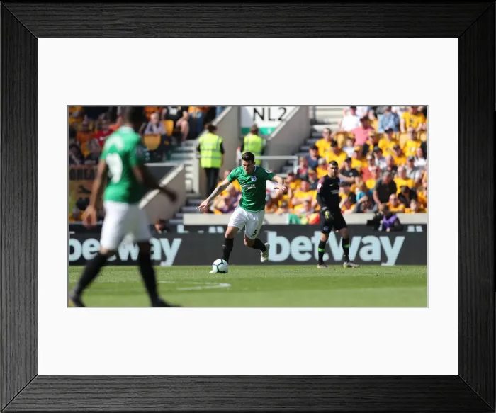 Framed Print : Premier League Showdown: Wolverhampton Wanderers vs. Brighton and Hove Albion at Molineux Stadium (20APR19) Framed Print : Premier League Showdown: Wolverhampton Wanderers vs. Brighton and Hove Albion at Molineux Stadium (20APR19)