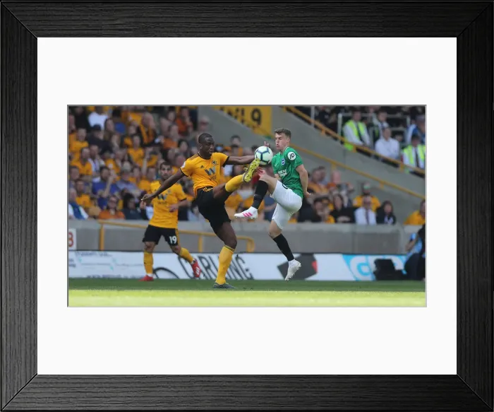 Framed Print : Premier League Showdown: Wolverhampton Wanderers vs. Brighton and Hove Albion at Molineux Stadium (20APR19) Framed Print : Premier League Showdown: Wolverhampton Wanderers vs. Brighton and Hove Albion at Molineux Stadium (20APR19)