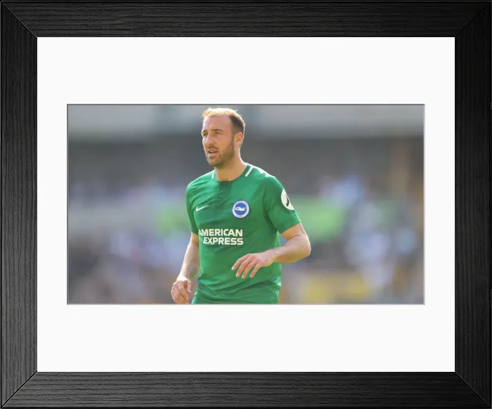Framed Print : Premier League Showdown: Wolverhampton Wanderers vs. Brighton and Hove Albion at Molineux Stadium (20APR19)