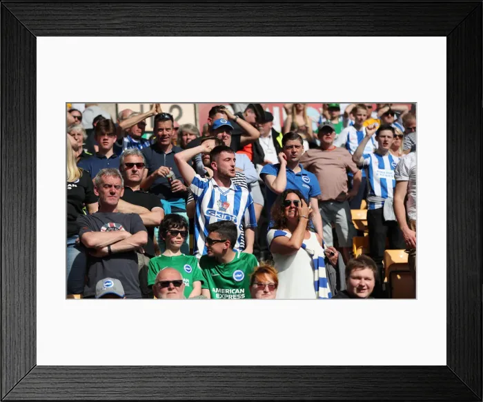 Framed Print : 20APR19: Wolves vs. Brighton - Premier League Clash at Molineux Stadium Framed Print : 20APR19: Wolves vs. Brighton - Premier League Clash at Molineux Stadium