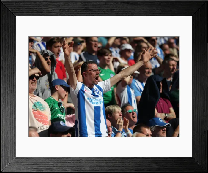Framed Print : Premier League Showdown: Wolverhampton Wanderers vs. Brighton and Hove Albion at Molineux Stadium (20APR19) Framed Print : Premier League Showdown: Wolverhampton Wanderers vs. Brighton and Hove Albion at Molineux Stadium (20APR19)