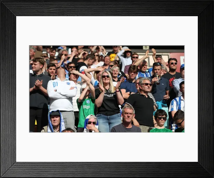 Framed Print : Premier League Showdown: Wolverhampton Wanderers vs. Brighton and Hove Albion at Molineux Stadium (20APR19) Framed Print : Premier League Showdown: Wolverhampton Wanderers vs. Brighton and Hove Albion at Molineux Stadium (20APR19)