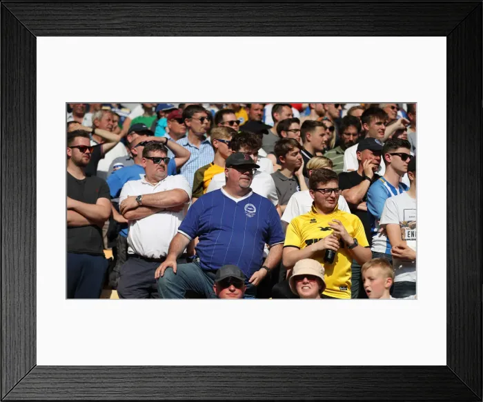 Framed Print : Premier League Showdown: Wolverhampton Wanderers vs. Brighton and Hove Albion at Molineux Stadium (20APR19) Framed Print : Premier League Showdown: Wolverhampton Wanderers vs. Brighton and Hove Albion at Molineux Stadium (20APR19)