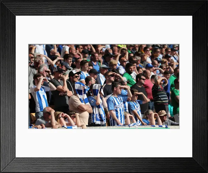 Framed Print : Premier League Showdown: Wolverhampton Wanderers vs. Brighton and Hove Albion at Molineux Stadium (20APR19) Framed Print : Premier League Showdown: Wolverhampton Wanderers vs. Brighton and Hove Albion at Molineux Stadium (20APR19)