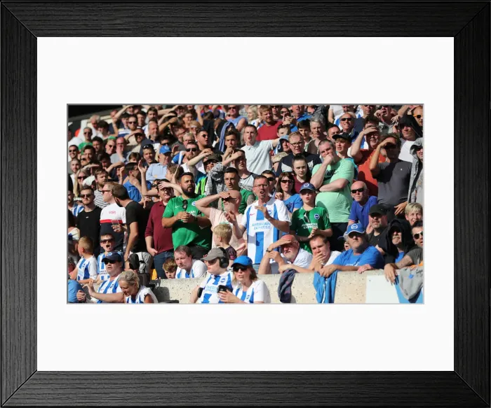 Framed Print : Premier League Showdown: Wolverhampton Wanderers vs. Brighton and Hove Albion at Molineux Stadium (20APR19) Framed Print : Premier League Showdown: Wolverhampton Wanderers vs. Brighton and Hove Albion at Molineux Stadium (20APR19)