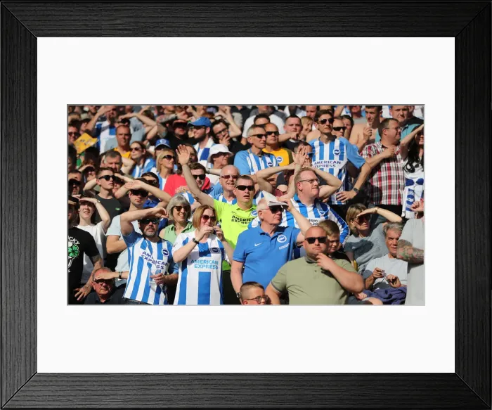 Framed Print : Premier League Showdown: Wolverhampton Wanderers vs. Brighton and Hove Albion at Molineux Stadium (20APR19) Framed Print : Premier League Showdown: Wolverhampton Wanderers vs. Brighton and Hove Albion at Molineux Stadium (20APR19)