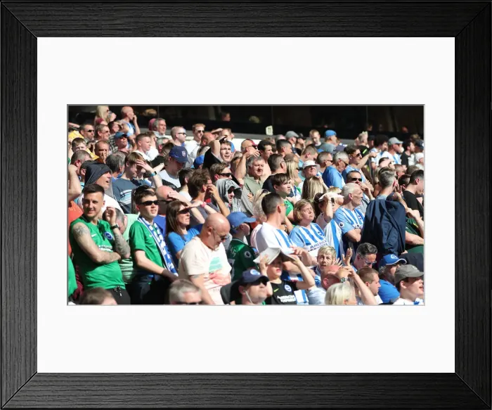 Framed Print : Premier League Showdown: Wolverhampton Wanderers vs. Brighton and Hove Albion at Molineux Stadium (20APR19) Framed Print : Premier League Showdown: Wolverhampton Wanderers vs. Brighton and Hove Albion at Molineux Stadium (20APR19)