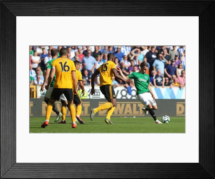 Framed Print : Premier League Showdown: Wolverhampton Wanderers vs. Brighton and Hove Albion at Molineux Stadium (20APR19)