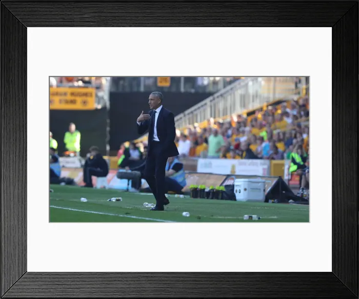 Framed Print : Premier League Showdown: Wolverhampton Wanderers vs. Brighton and Hove Albion at Molineux Stadium (20APR19) Framed Print : Premier League Showdown: Wolverhampton Wanderers vs. Brighton and Hove Albion at Molineux Stadium (20APR19)