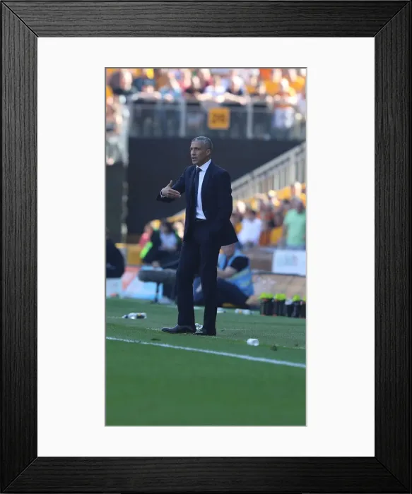 Framed Print : Premier League Showdown: Wolverhampton Wanderers vs. Brighton and Hove Albion at Molineux Stadium (20APR19) Framed Print : Premier League Showdown: Wolverhampton Wanderers vs. Brighton and Hove Albion at Molineux Stadium (20APR19)