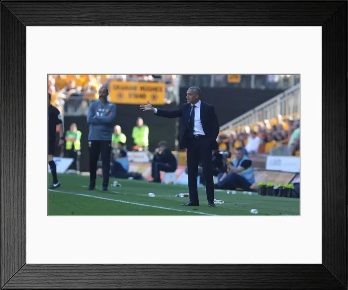Framed Print : Premier League Showdown: Wolverhampton Wanderers vs. Brighton and Hove Albion at Molineux Stadium (20APR19)
