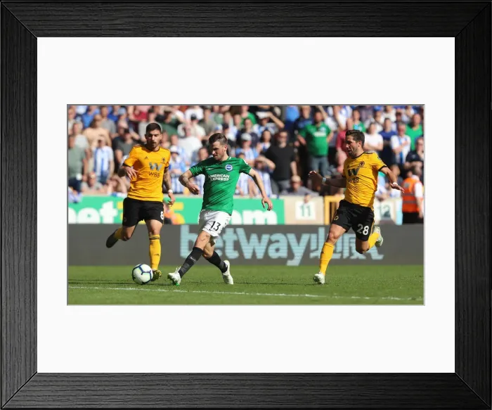 Framed Print : Premier League Showdown: Wolverhampton Wanderers vs. Brighton and Hove Albion at Molineux Stadium (20APR19) Framed Print : Premier League Showdown: Wolverhampton Wanderers vs. Brighton and Hove Albion at Molineux Stadium (20APR19)