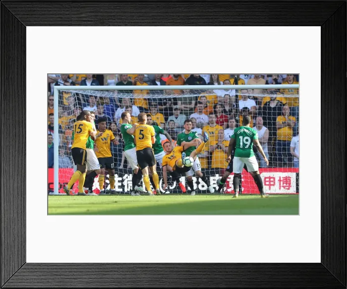 Framed Print : Premier League Showdown: Wolverhampton Wanderers vs. Brighton and Hove Albion at Molineux Stadium (20APR19) Framed Print : Premier League Showdown: Wolverhampton Wanderers vs. Brighton and Hove Albion at Molineux Stadium (20APR19)