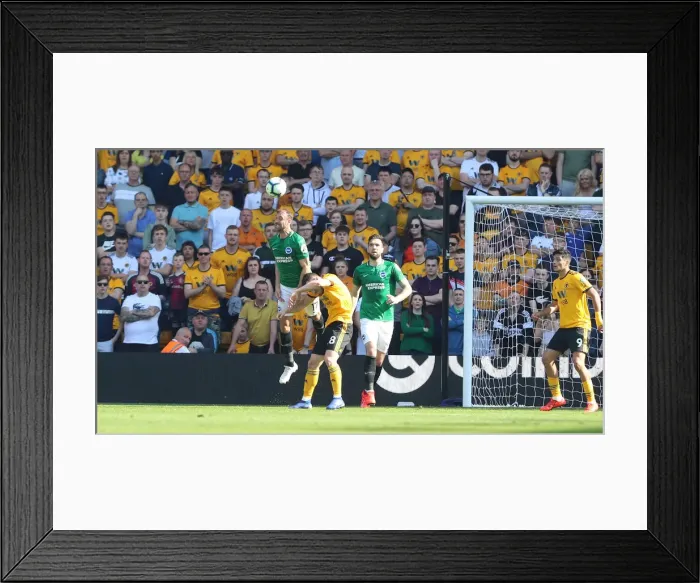 Framed Print : Premier League Showdown: Wolverhampton Wanderers vs. Brighton and Hove Albion at Molineux Stadium (20APR19) Framed Print : Premier League Showdown: Wolverhampton Wanderers vs. Brighton and Hove Albion at Molineux Stadium (20APR19)