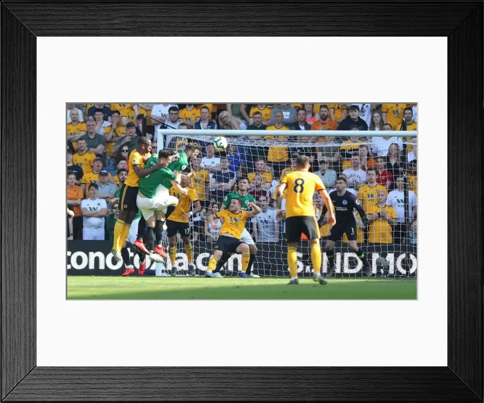 Framed Print : Premier League Showdown: Wolverhampton Wanderers vs. Brighton and Hove Albion at Molineux Stadium (20APR19) Framed Print : Premier League Showdown: Wolverhampton Wanderers vs. Brighton and Hove Albion at Molineux Stadium (20APR19)