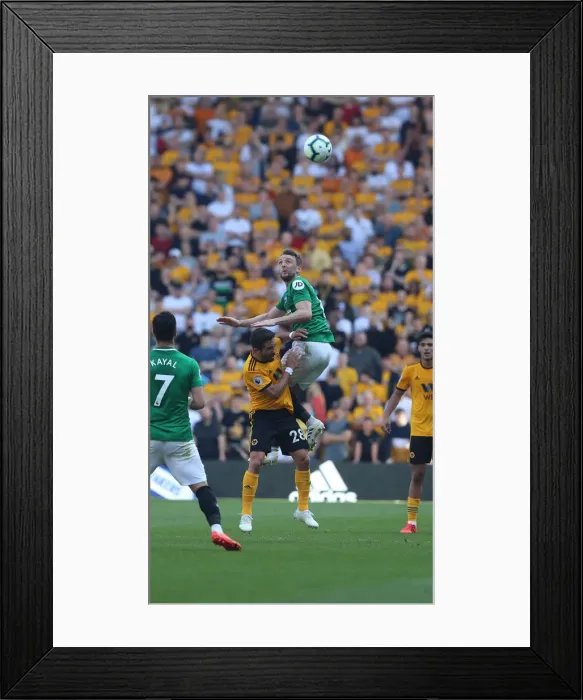 Framed Print : Premier League Showdown: Wolverhampton Wanderers vs. Brighton and Hove Albion at Molineux Stadium (20APR19) Framed Print : Premier League Showdown: Wolverhampton Wanderers vs. Brighton and Hove Albion at Molineux Stadium (20APR19)