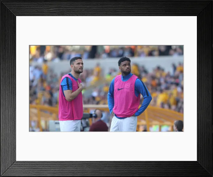 Framed Print : Premier League Showdown: Wolverhampton Wanderers vs. Brighton and Hove Albion at Molineux Stadium (20APR19) Framed Print : Premier League Showdown: Wolverhampton Wanderers vs. Brighton and Hove Albion at Molineux Stadium (20APR19)