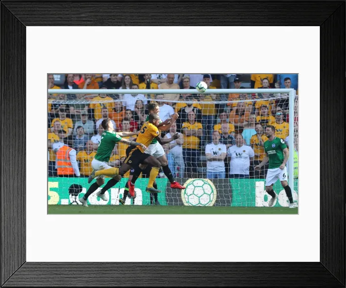 Framed Print : Premier League Showdown: Wolverhampton Wanderers vs. Brighton and Hove Albion at Molineux Stadium (20APR19) Framed Print : Premier League Showdown: Wolverhampton Wanderers vs. Brighton and Hove Albion at Molineux Stadium (20APR19)