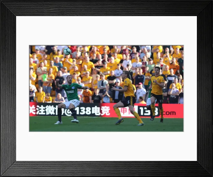 Framed Print : Premier League Showdown: Wolverhampton Wanderers vs. Brighton and Hove Albion at Molineux Stadium (20APR19) Framed Print : Premier League Showdown: Wolverhampton Wanderers vs. Brighton and Hove Albion at Molineux Stadium (20APR19)
