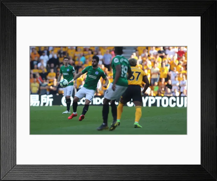 Framed Print : Premier League Showdown: Wolverhampton Wanderers vs. Brighton and Hove Albion at Molineux Stadium (20APR19) Framed Print : Premier League Showdown: Wolverhampton Wanderers vs. Brighton and Hove Albion at Molineux Stadium (20APR19)