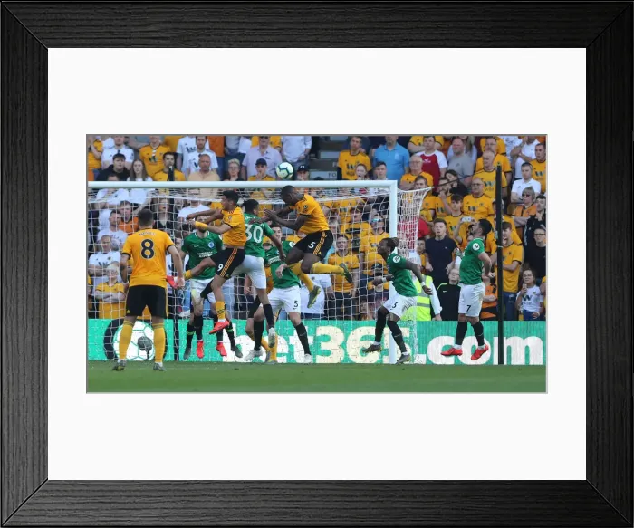 Framed Print : Premier League Showdown: Wolverhampton Wanderers vs. Brighton and Hove Albion at Molineux Stadium (20APR19) Framed Print : Premier League Showdown: Wolverhampton Wanderers vs. Brighton and Hove Albion at Molineux Stadium (20APR19)