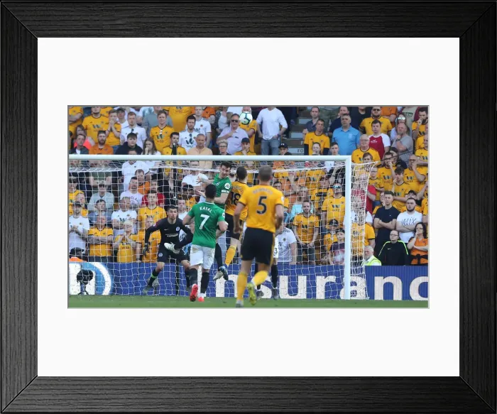 Framed Print : Premier League Showdown: Wolverhampton Wanderers vs. Brighton and Hove Albion at Molineux Stadium (20APR19) Framed Print : Premier League Showdown: Wolverhampton Wanderers vs. Brighton and Hove Albion at Molineux Stadium (20APR19)