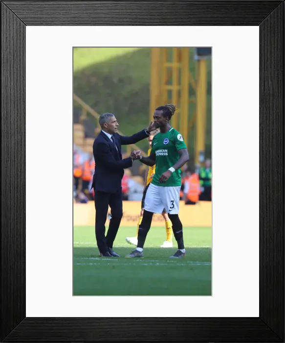 Framed Print : Premier League Showdown: Wolverhampton Wanderers vs. Brighton and Hove Albion at Molineux Stadium (20APR19) Framed Print : Premier League Showdown: Wolverhampton Wanderers vs. Brighton and Hove Albion at Molineux Stadium (20APR19)