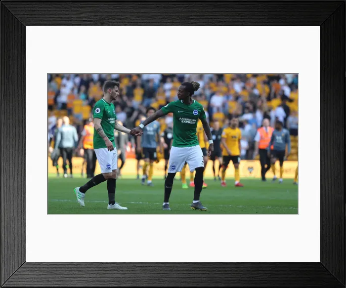 Framed Print : Premier League Showdown: Wolverhampton Wanderers vs. Brighton and Hove Albion at Molineux Stadium (20APR19) Framed Print : Premier League Showdown: Wolverhampton Wanderers vs. Brighton and Hove Albion at Molineux Stadium (20APR19)