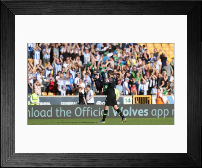 Framed Print : Premier League Showdown: Wolverhampton Wanderers vs. Brighton & Hove Albion at Molineux Stadium (20APR19) Framed Print : Premier League Showdown: Wolverhampton Wanderers vs. Brighton & Hove Albion at Molineux Stadium (20APR19)
