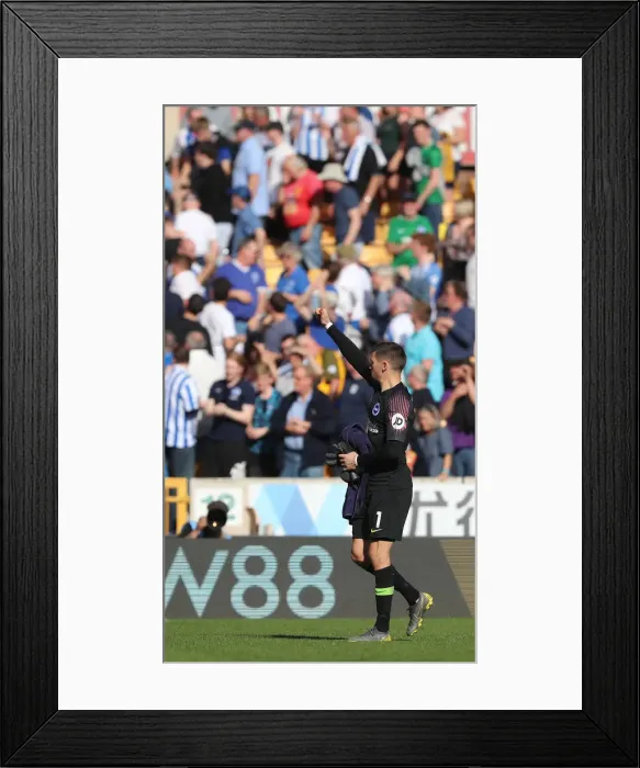 Framed Print : Premier League Showdown: Wolverhampton Wanderers vs. Brighton and Hove Albion at Molineux Stadium (20APR19) Framed Print : Premier League Showdown: Wolverhampton Wanderers vs. Brighton and Hove Albion at Molineux Stadium (20APR19)