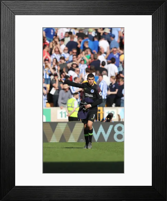 Framed Print : Premier League Showdown: Wolverhampton Wanderers vs. Brighton and Hove Albion at Molineux Stadium (20APR19) Framed Print : Premier League Showdown: Wolverhampton Wanderers vs. Brighton and Hove Albion at Molineux Stadium (20APR19)