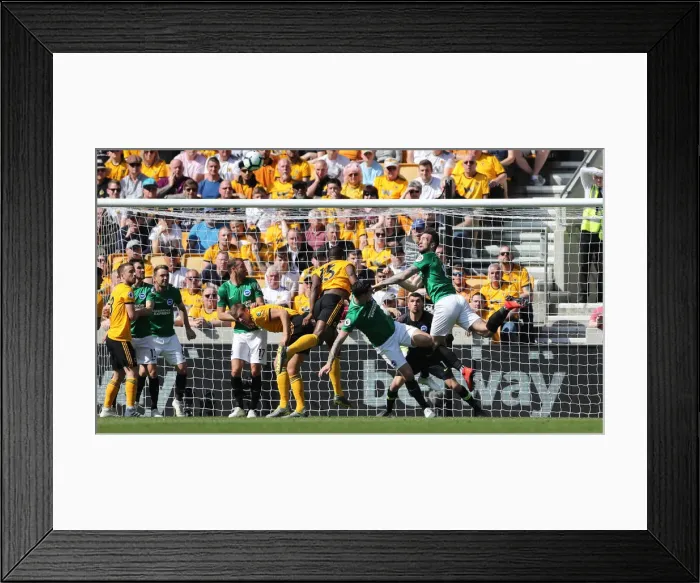 Framed Print : Premier League Showdown: Wolverhampton Wanderers vs. Brighton and Hove Albion at Stamford Bridge (20APR19) Framed Print : Premier League Showdown: Wolverhampton Wanderers vs. Brighton and Hove Albion at Stamford Bridge (20APR19)