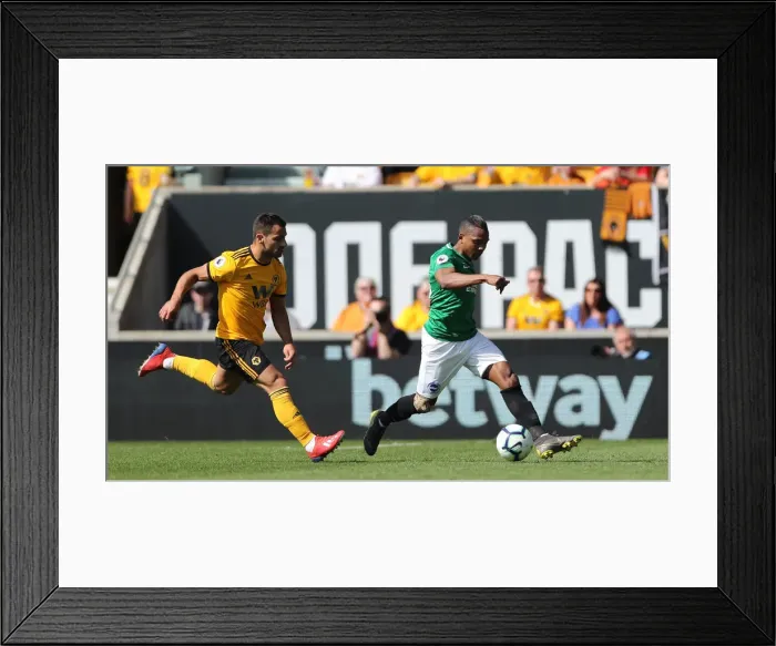 Framed Print : Premier League Showdown: Wolverhampton Wanderers vs. Brighton and Hove Albion (20APR19) Framed Print : Premier League Showdown: Wolverhampton Wanderers vs. Brighton and Hove Albion (20APR19)