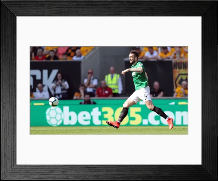 Framed Print : Premier League Showdown: Wolverhampton Wanderers vs. Brighton and Hove Albion (20APR19) Framed Print : Premier League Showdown: Wolverhampton Wanderers vs. Brighton and Hove Albion (20APR19)