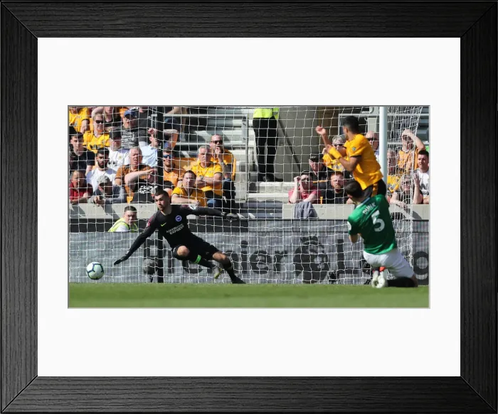 Framed Print : Premier League Showdown: Wolverhampton Wanderers vs. Brighton & Hove Albion at Stamford Bridge (20APR19) Framed Print : Premier League Showdown: Wolverhampton Wanderers vs. Brighton & Hove Albion at Stamford Bridge (20APR19)