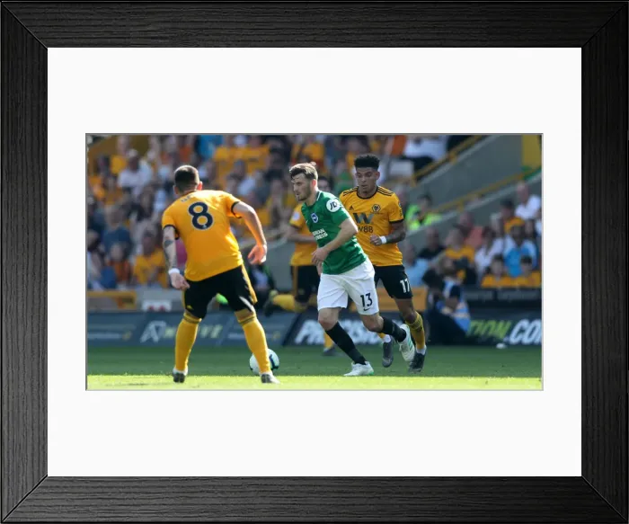 Framed Print : Premier League Showdown: Wolverhampton Wanderers vs. Brighton and Hove Albion (20APR19) Framed Print : Premier League Showdown: Wolverhampton Wanderers vs. Brighton and Hove Albion (20APR19)