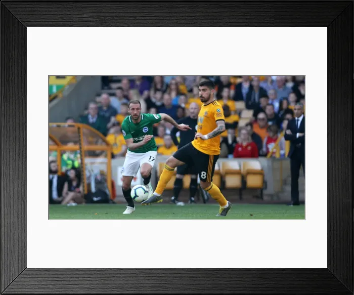 Framed Print : Premier League Showdown: Wolverhampton Wanderers vs. Brighton and Hove Albion at Stamford Bridge (20APR19) Framed Print : Premier League Showdown: Wolverhampton Wanderers vs. Brighton and Hove Albion at Stamford Bridge (20APR19)