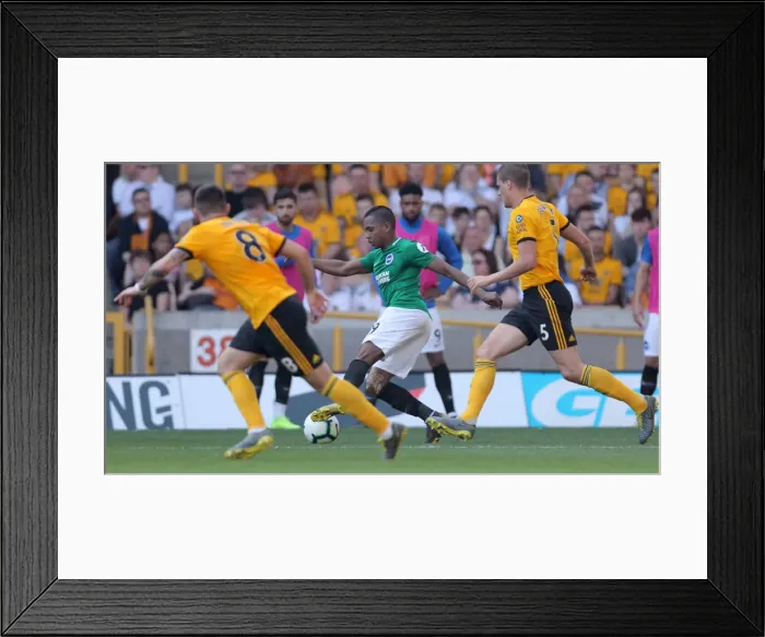 Framed Print : Premier League Showdown: Wolverhampton Wanderers vs. Brighton and Hove Albion at Stamford Bridge (20APR19) Framed Print : Premier League Showdown: Wolverhampton Wanderers vs. Brighton and Hove Albion at Stamford Bridge (20APR19)