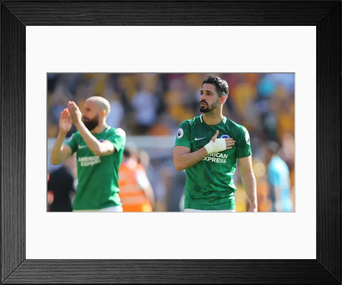 Framed Print : Premier League Showdown: Wolverhampton Wanderers vs. Brighton and Hove Albion (20APR19) Framed Print : Premier League Showdown: Wolverhampton Wanderers vs. Brighton and Hove Albion (20APR19)