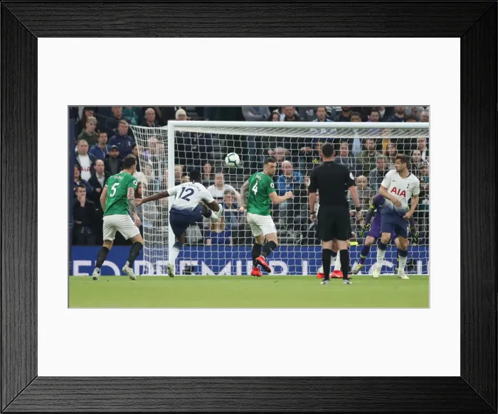 Framed Print : Premier League Showdown: Tottenham Hotspur vs. Brighton and Hove Albion (23APR19) Framed Print : Premier League Showdown: Tottenham Hotspur vs. Brighton and Hove Albion (23APR19)