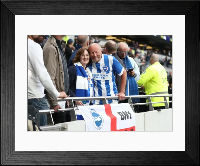Framed Print : Premier League Showdown: Tottenham Hotspur vs. Brighton and Hove Albion (23APR19) Framed Print : Premier League Showdown: Tottenham Hotspur vs. Brighton and Hove Albion (23APR19)