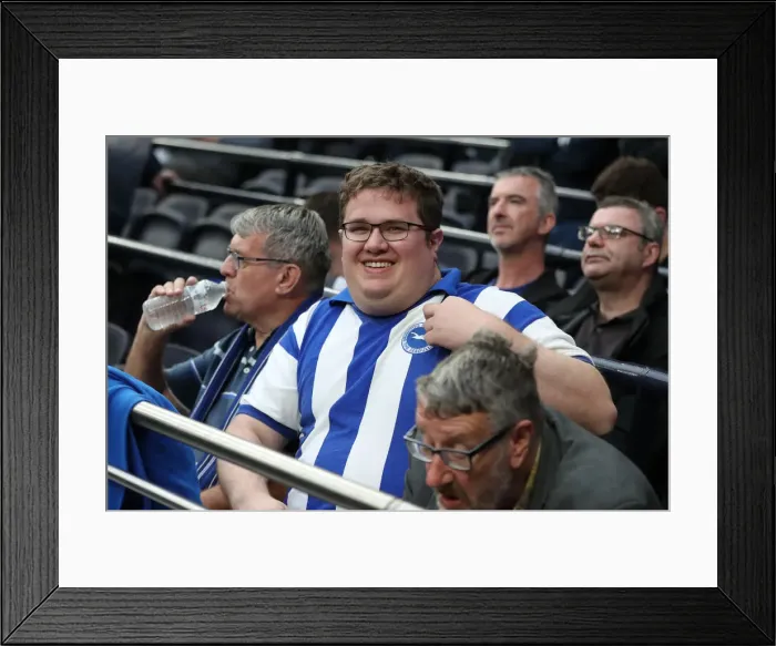 Framed Print : Premier League Showdown: Tottenham Hotspur vs. Brighton and Hove Albion (23APR19) Framed Print : Premier League Showdown: Tottenham Hotspur vs. Brighton and Hove Albion (23APR19)