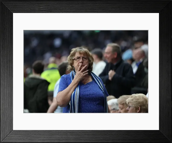 Framed Print : Premier League Showdown: Tottenham Hotspur vs. Brighton and Hove Albion (23APR19) Framed Print : Premier League Showdown: Tottenham Hotspur vs. Brighton and Hove Albion (23APR19)