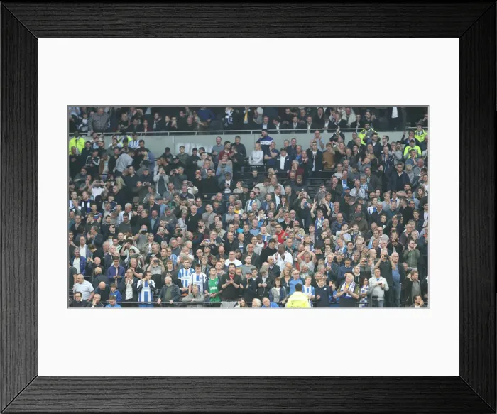 Framed Print : Premier League Showdown: Tottenham Hotspur vs. Brighton and Hove Albion (23APR19) Framed Print : Premier League Showdown: Tottenham Hotspur vs. Brighton and Hove Albion (23APR19)